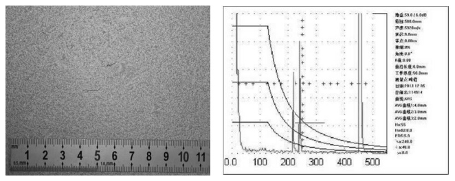 白點.jpg 白點.jpg